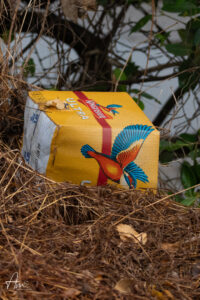 The Photograph I Wish I Didn’t Have to Take When Plastic Becomes Part of a Bird’s Habitat